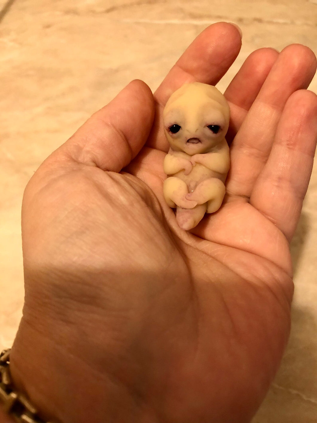 AVAILABLE Prototype full body silicone mini alien (alien fetus)