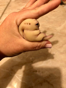 AVAILABLE Prototype full body silicone mini alien (alien fetus)