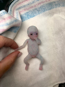 AVAILABLE full body silicone fantasy mini kit Leo( baby boy) in super soft blend glow in the dark- project “I exist!”