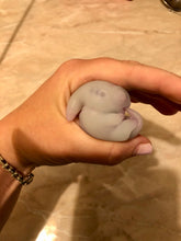Load image into Gallery viewer, Custom full body silicone mini alien (alien fetus)
