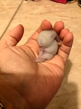 Load image into Gallery viewer, Custom full body silicone mini alien (alien fetus)
