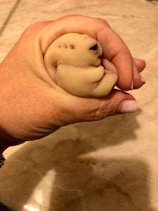 AVAILABLE Prototype full body silicone mini alien (alien fetus)