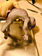Load image into Gallery viewer, AVAILABLE Full body silicone alien baby (Hope in super soft blend)

