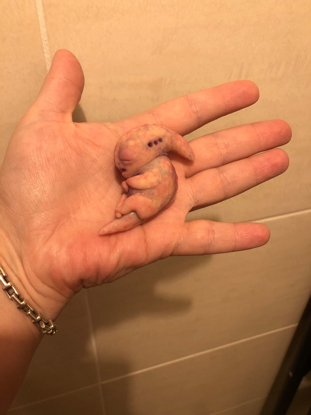 AVAILABLE Prototype full body silicone mini alien (alien fetus)