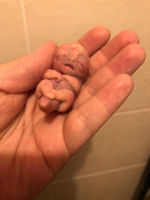 Load image into Gallery viewer, AVAILABLE Prototype full body silicone mini alien (alien fetus)
