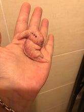 Load image into Gallery viewer, AVAILABLE Prototype full body silicone mini alien (alien fetus)
