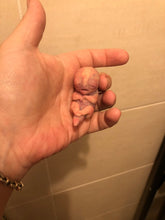 Load image into Gallery viewer, AVAILABLE Prototype full body silicone mini alien (alien fetus)
