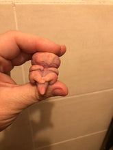 Load image into Gallery viewer, AVAILABLE Prototype full body silicone mini alien (alien fetus)
