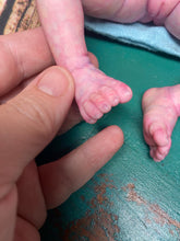 Load image into Gallery viewer, CUSTOM full body silicone 10” doll Willow (with long curly hair) in soft blend
