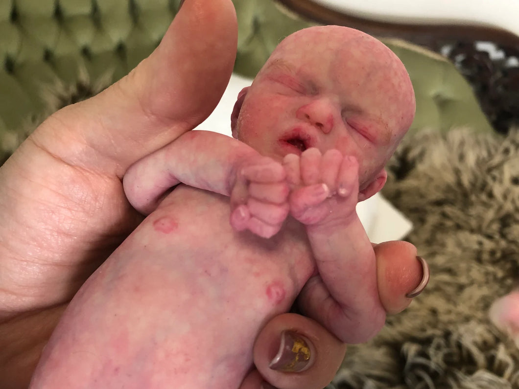 Prototype full body silicone mini kit Kenzo 8” in super soft blend with 3D skin effect BALD