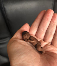 Load image into Gallery viewer, Custom full body silicone micro baby
