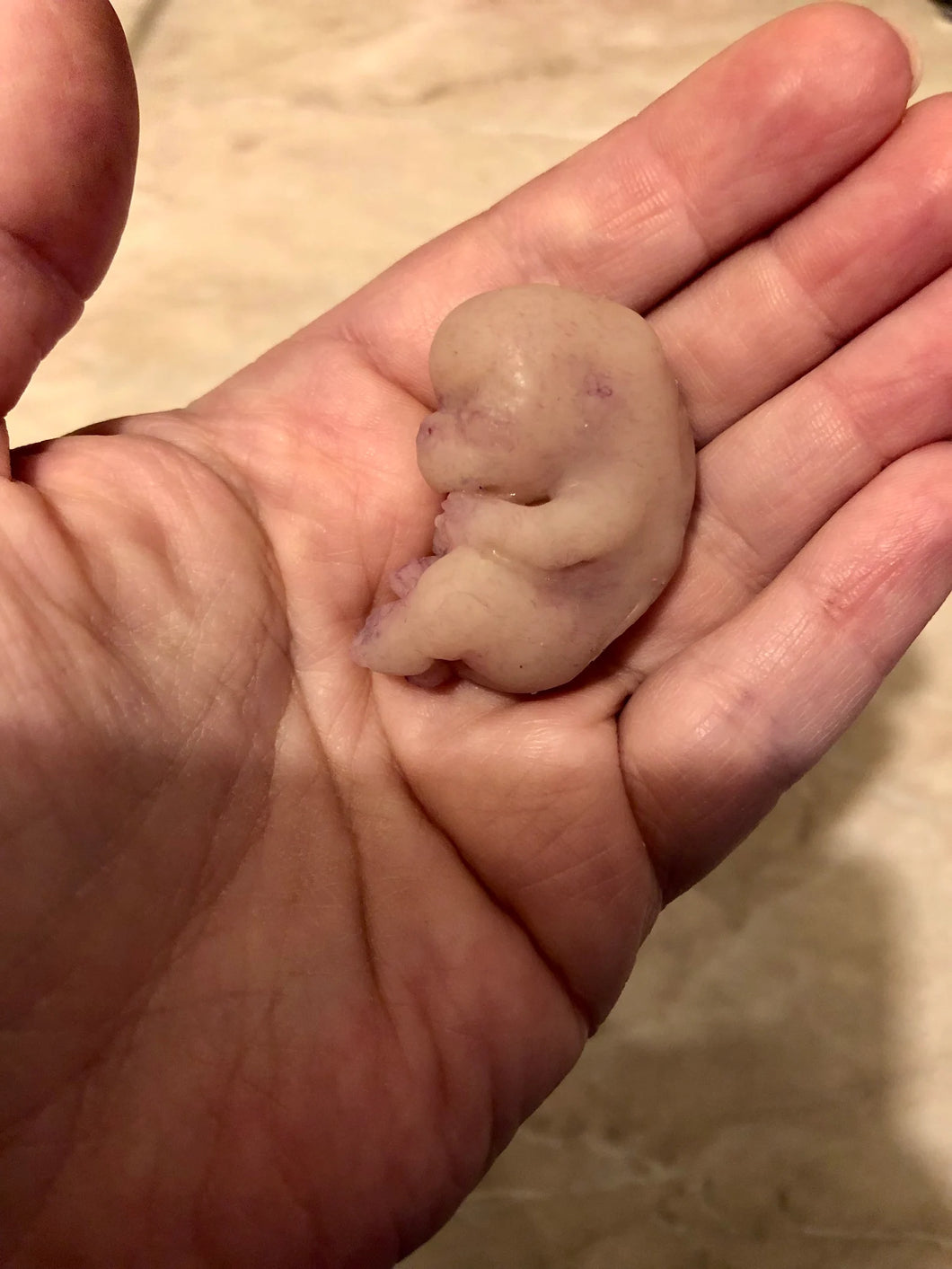 AVAILABLE very soft full body silicone mini baby Gio in super soft blend with 3D skin effect - project “I exist!”