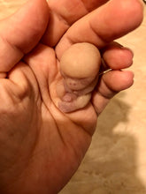 Load image into Gallery viewer, AVAILABLE very soft full body silicone mini baby Gio in super soft blend with 3D skin effect - project “I exist!”
