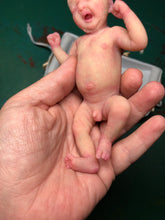 Load image into Gallery viewer, Custom full body silicone mini baby Lucas in soft blend asleep bald
