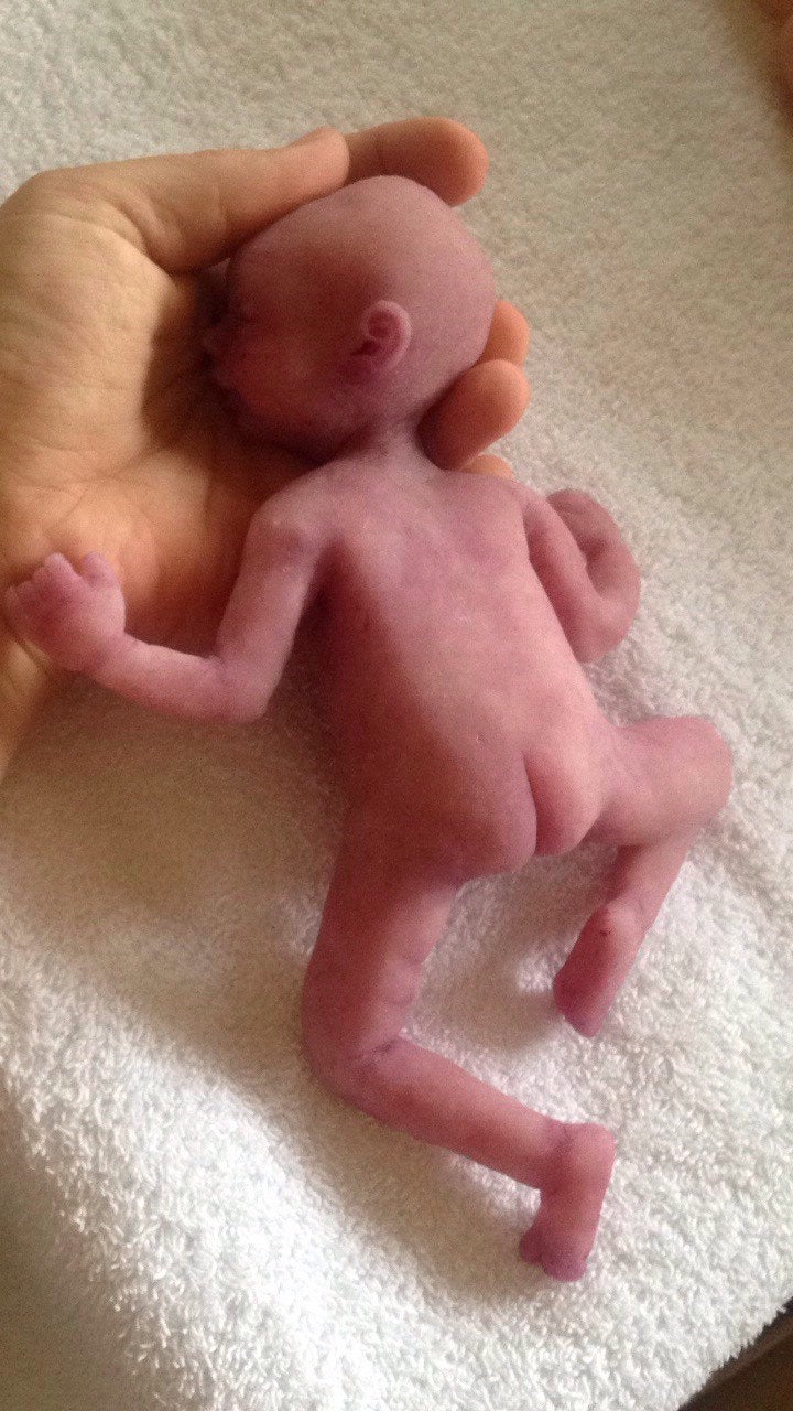 Full body silicone baby girl Adriana 9