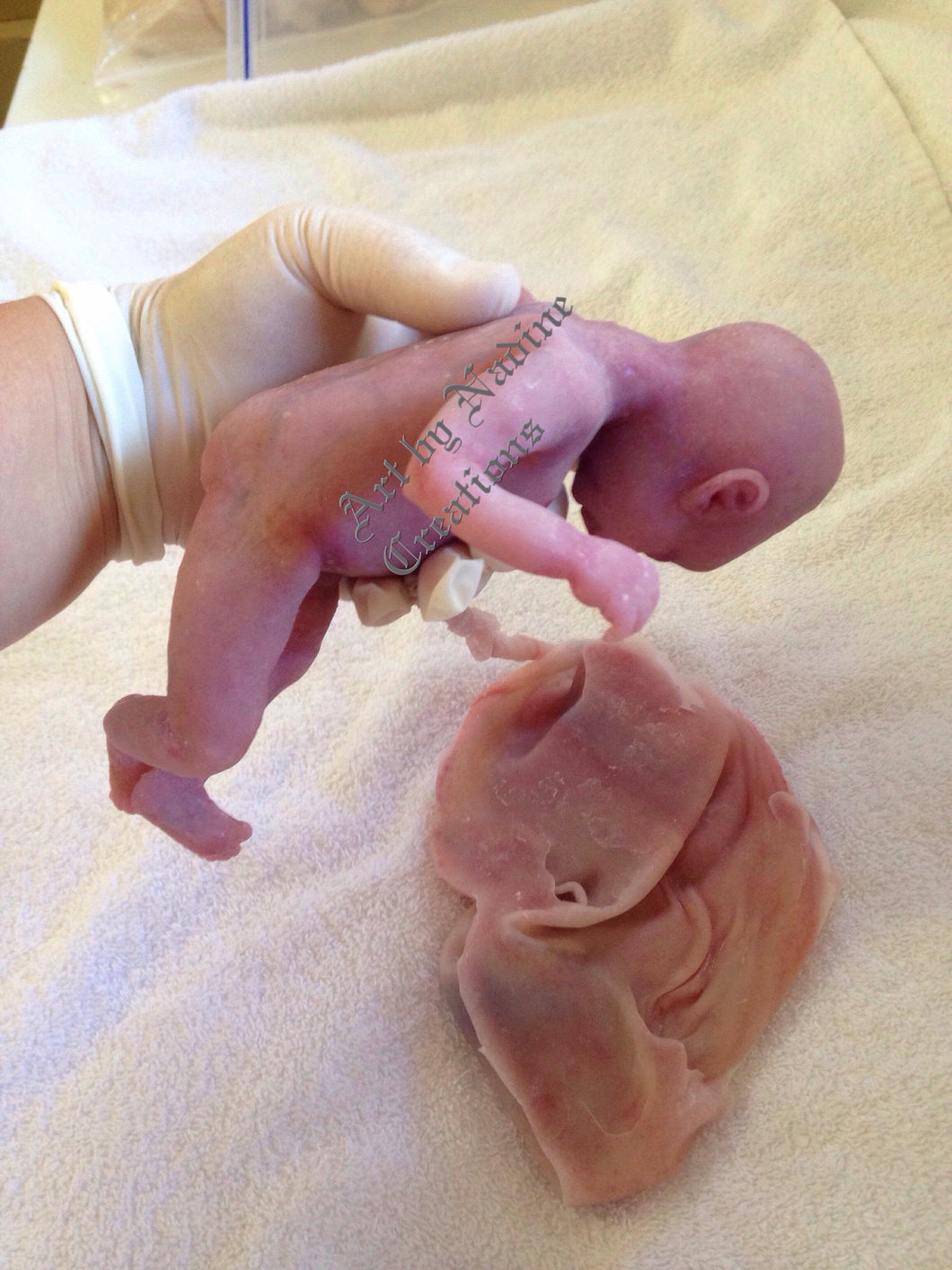 Full body silicone baby girl Adriana with 5