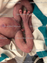 Load image into Gallery viewer, Full body silicone ultra premature baby girl 12&quot; (approximately 26-28 weeks)
