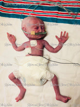 Load image into Gallery viewer, Full body silicone baby girl Collette 12&quot; with placenta &amp; cord (premature bany at 26-28 weeks gestation)
