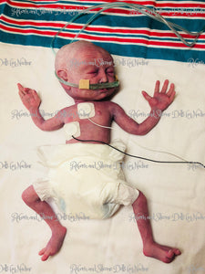 Full body silicone baby girl Collette 12" with placenta & cord (premature bany at 26-28 weeks gestation)