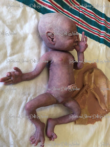Full body silicone baby girl Collette 12" with placenta & cord (premature bany at 26-28 weeks gestation)