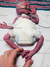 Load image into Gallery viewer, Full body silicone baby girl Collette 12&quot; with placenta &amp; cord (premature bany at 26-28 weeks gestation)
