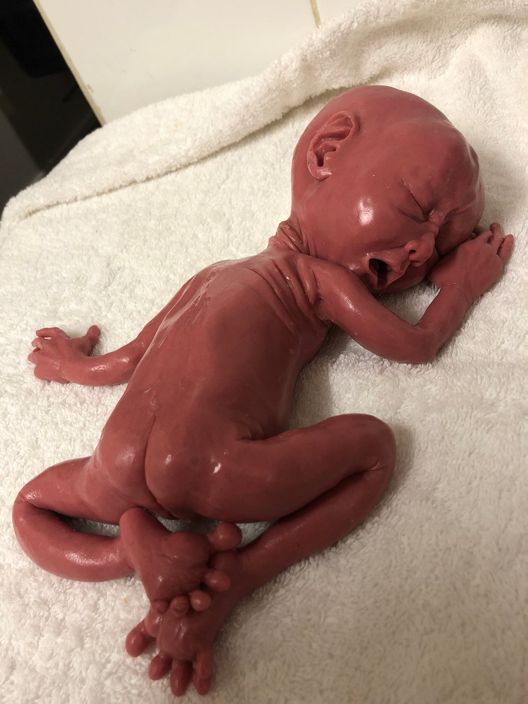 Full body silicone Crier 12