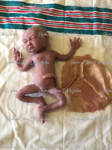 Full body silicone baby girl Collette 12" with placenta & cord (premature bany at 26-28 weeks gestation)