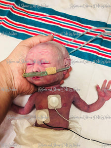 Full body silicone baby girl Collette 12" with placenta & cord (premature bany at 26-28 weeks gestation)