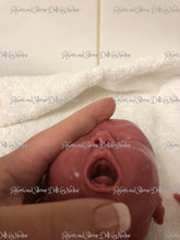 Load image into Gallery viewer, Full body silicone Crier 12&quot; blank kit
