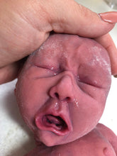 Load image into Gallery viewer, Full body silicone baby girl crier 12&quot; BALD
