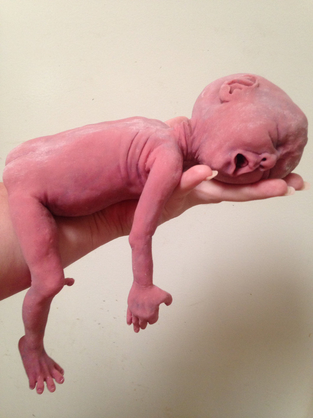 Full body silicone baby girl crier 12