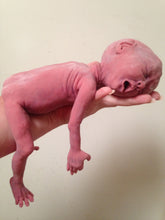 Load image into Gallery viewer, Full body silicone baby girl crier 12&quot; ROOTED
