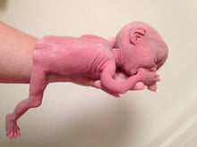 Load image into Gallery viewer, Full body silicone baby girl crier 12&quot; BALD

