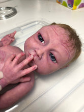 Load image into Gallery viewer, Full body silicone baby twins (girls) 12&quot;
