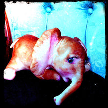 Load image into Gallery viewer, Set of cards #1 vintage style
