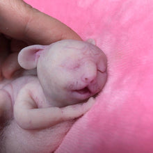 Load image into Gallery viewer, Custom listing for Mikkek - 2 Full body silicone awake baby hybrids
