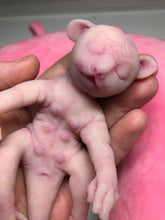 Load image into Gallery viewer, Full body silicone sleeping baby hybrid #1
