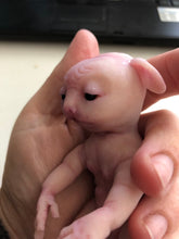 Load image into Gallery viewer, Custom listing for Mikkek - 2 Full body silicone awake baby hybrids
