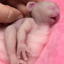 Load image into Gallery viewer, Full body silicone sleeping baby hybrid #1
