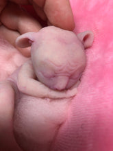 Load image into Gallery viewer, Full body silicone sleeping baby hybrid #1
