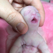 Load image into Gallery viewer, Full body silicone sleeping baby hybrid #1
