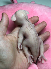 Load image into Gallery viewer, Full body silicone sleeping baby hybrid #1
