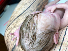 Load image into Gallery viewer, Full body silicone premature baby boy in soft blend (rooted)
