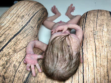 Load image into Gallery viewer, Full body silicone premature baby boy in soft blend (rooted)
