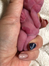 Load image into Gallery viewer, Full body silicone mini baby doll Nena in super soft blend with 3D encapsulated skin effect 4&quot; (bald)
