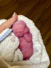 Load image into Gallery viewer, Full body silicone mini baby doll Nena in super soft blend with 3D encapsulated skin effect 4&quot; (bald)
