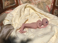 Load image into Gallery viewer, Full body silicone fantasy alien baby girl
