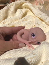 Load image into Gallery viewer, Full body silicone fantasy alien baby girl
