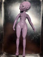 Load image into Gallery viewer, Solid silicone 9” doll (Women of Universe Collection) Lilac Sirius
