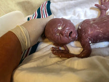 Load image into Gallery viewer, Full body silicone baby girl crier 12&quot; Bald
